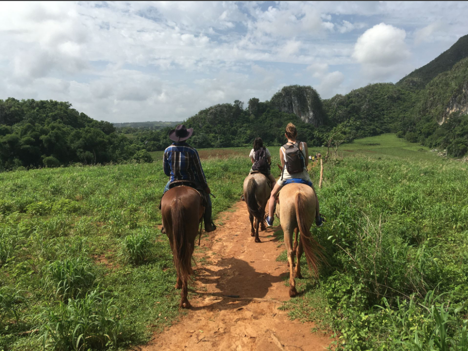 Voyage sur-mesure, Randonnée et balade à cheval