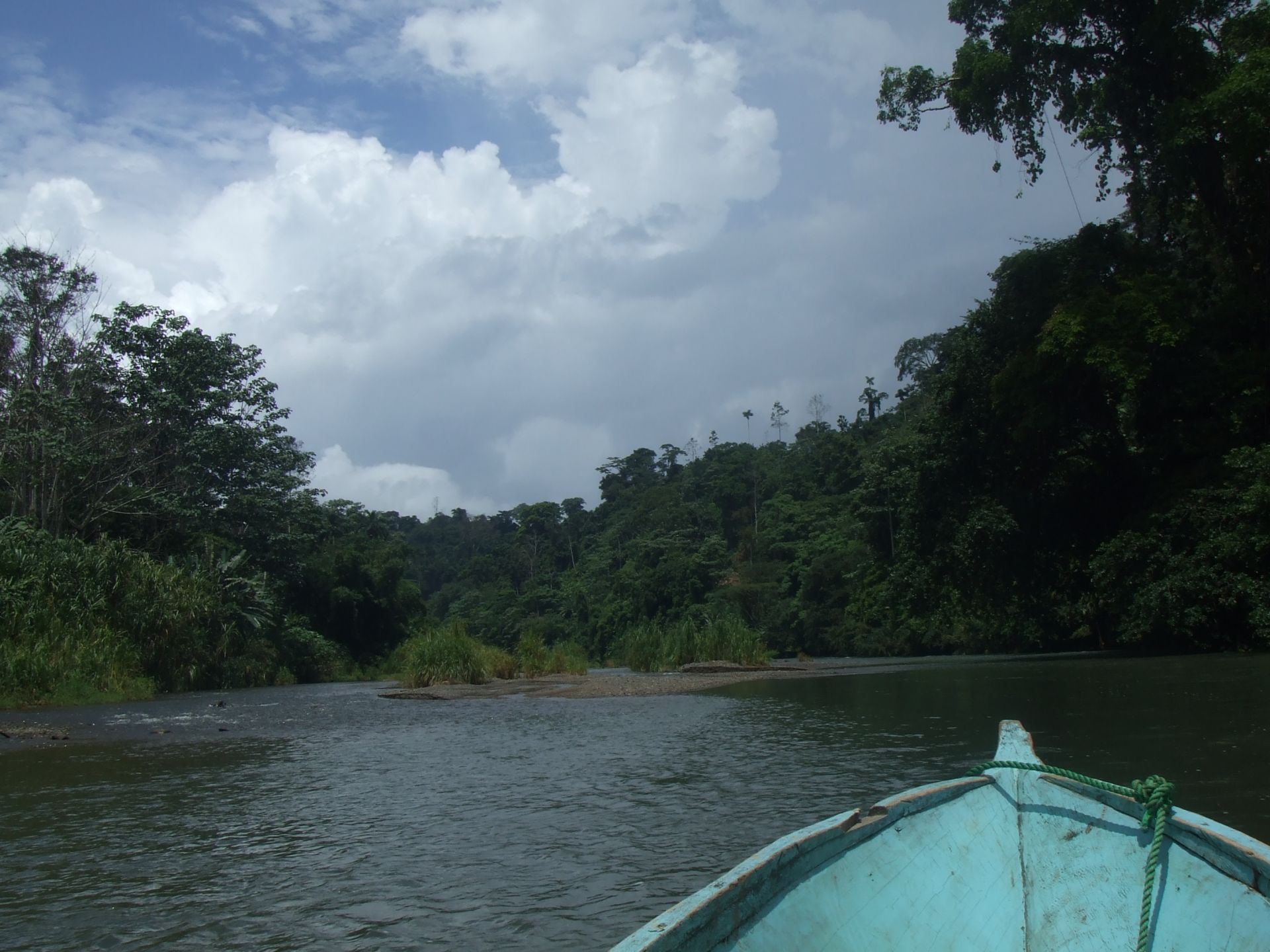 Voyage sur-mesure, À la découverte de la jungle de Bribri