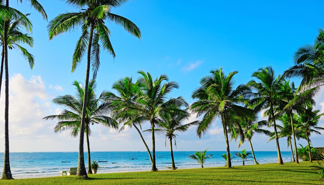 Voyage sur-mesure, Le paradis de Diani au Kenya