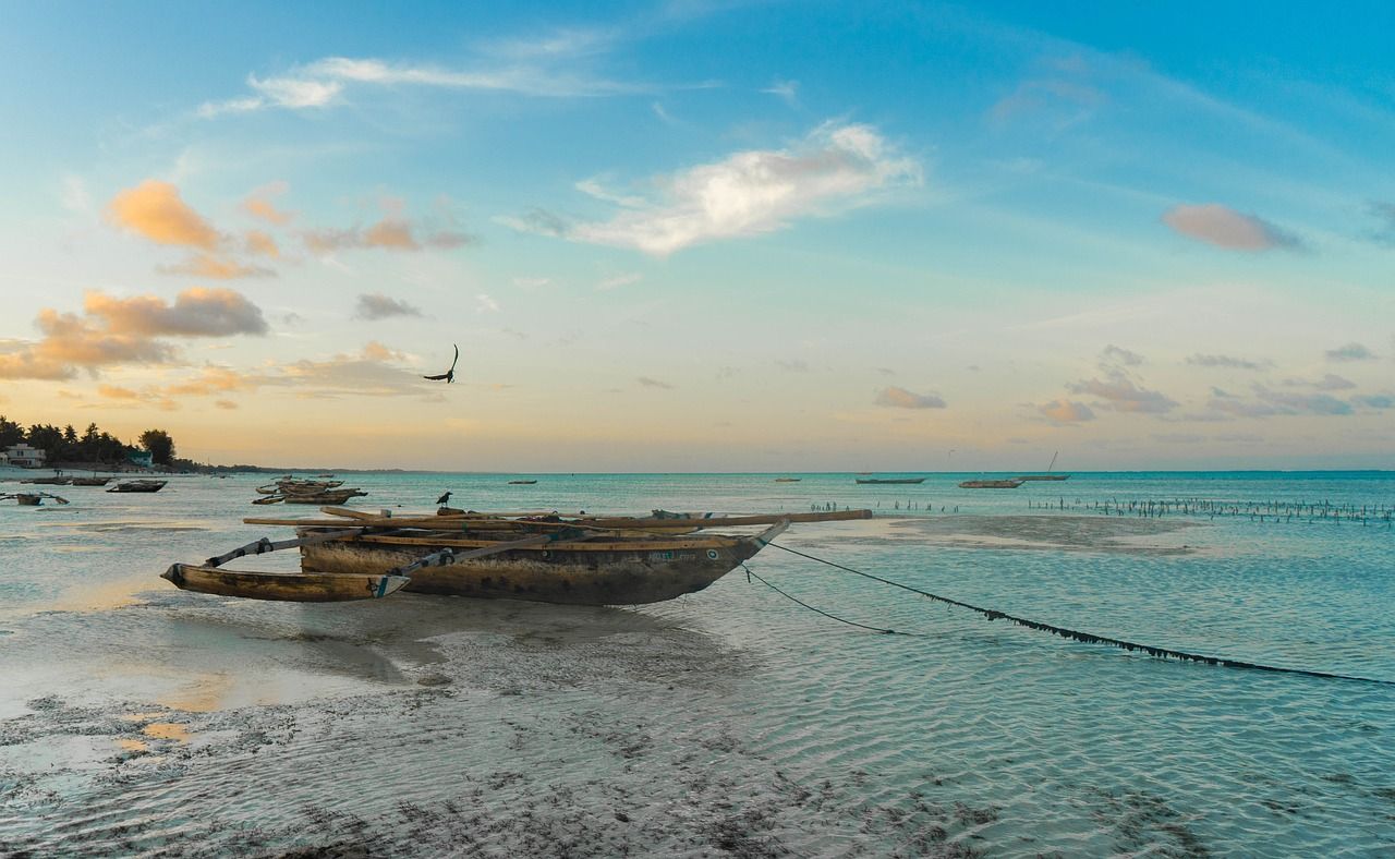 Voyage sur-mesure, Pourquoi partir à Zanzibar ?