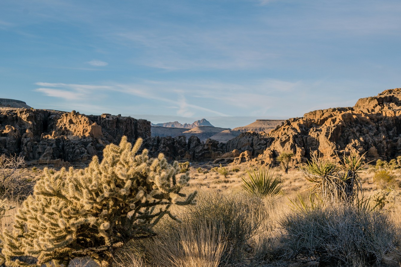 Voyage sur-mesure, Les déserts du sud de la Californie