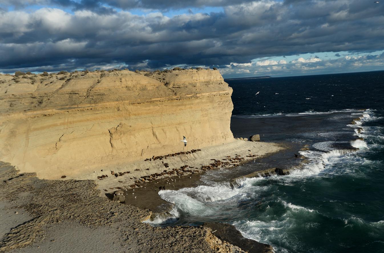 Voyage sur-mesure, La Péninsule de Valdés et Punta Tombo