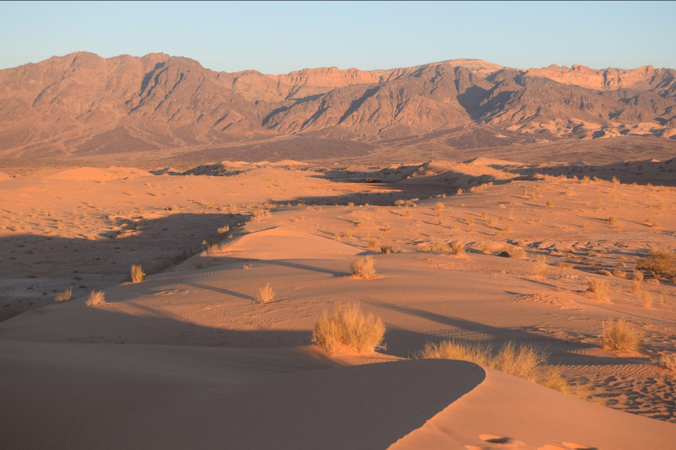 Voyage sur-mesure, Wadi Araba