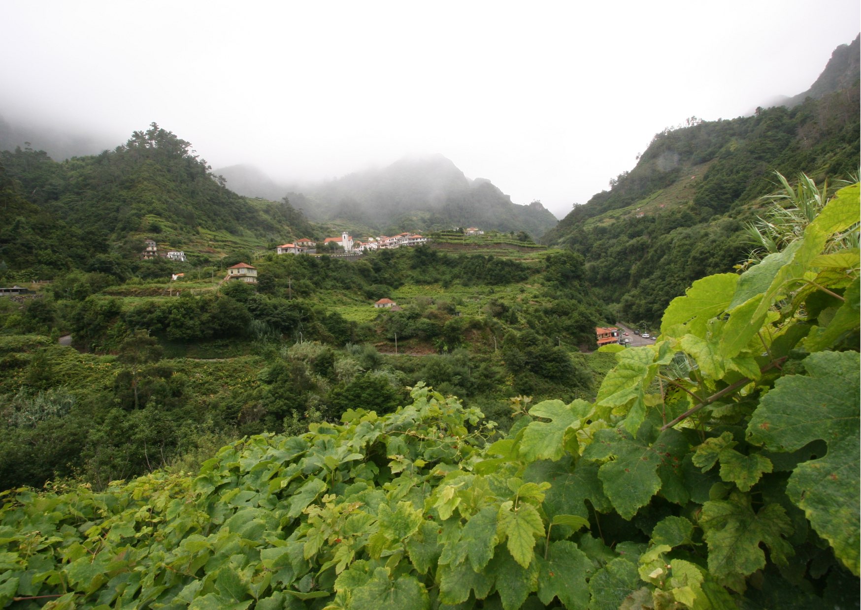 Voyage sur-mesure, Le vin de Madère