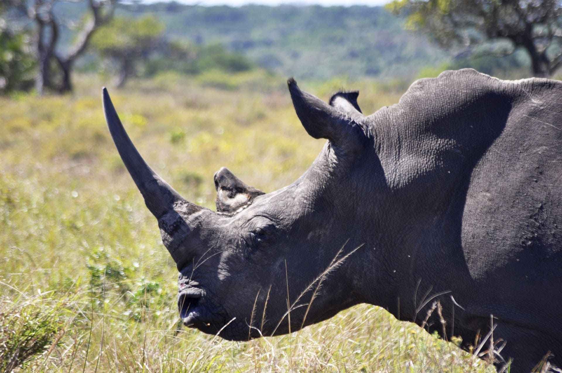 Voyage sur-mesure, La richesse de la réserve d’iSimangaliso