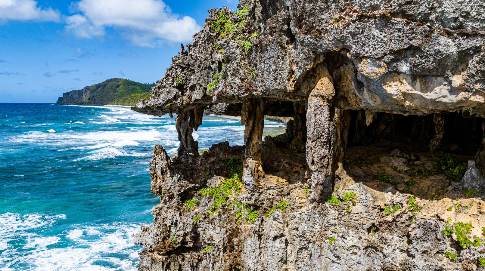 Voyage sur-mesure, Rurutu et ses baleines