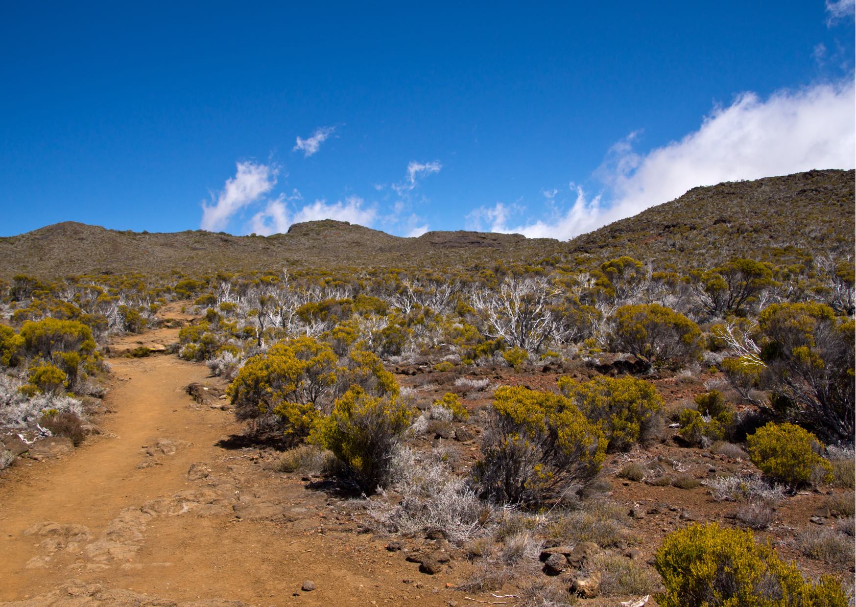 Voyage sur-mesure, Les randonnées au cœur de l'île de la Réunion