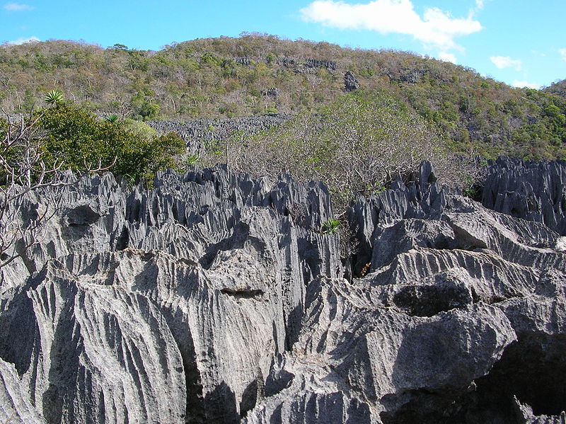 Voyage sur-mesure, Voyage famille le nord de Madagascar : Baies colorées, tsingy, lémuriens et plantations