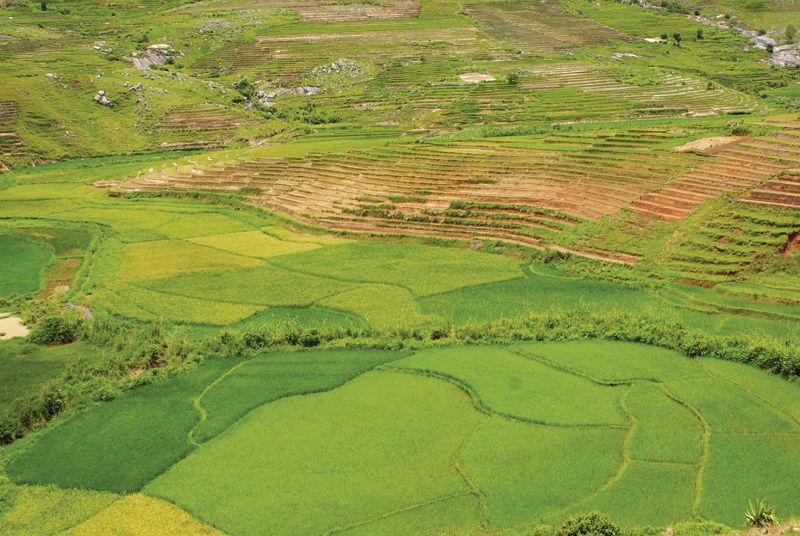 Voyage sur-mesure, Voyage d'un mois à Madagascar
