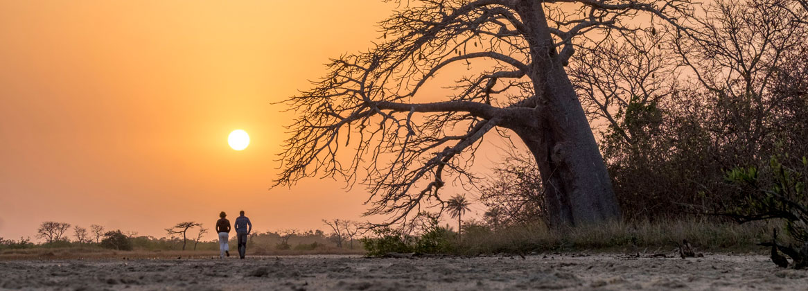 Voyage 3 semaines au Sénégal: Randonnée et Aventure authentique