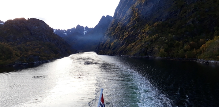 Voyage sur-mesure, Voyage famille avec observation de baleines en Norvège