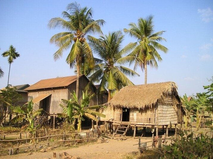 Voyage sur-mesure, Jungle et île déserte