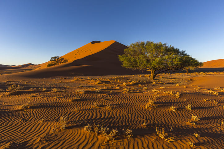 Voyage sur-mesure, Combiné Afrique du Sud - Namibie : Voyagez du Cap au Namib !