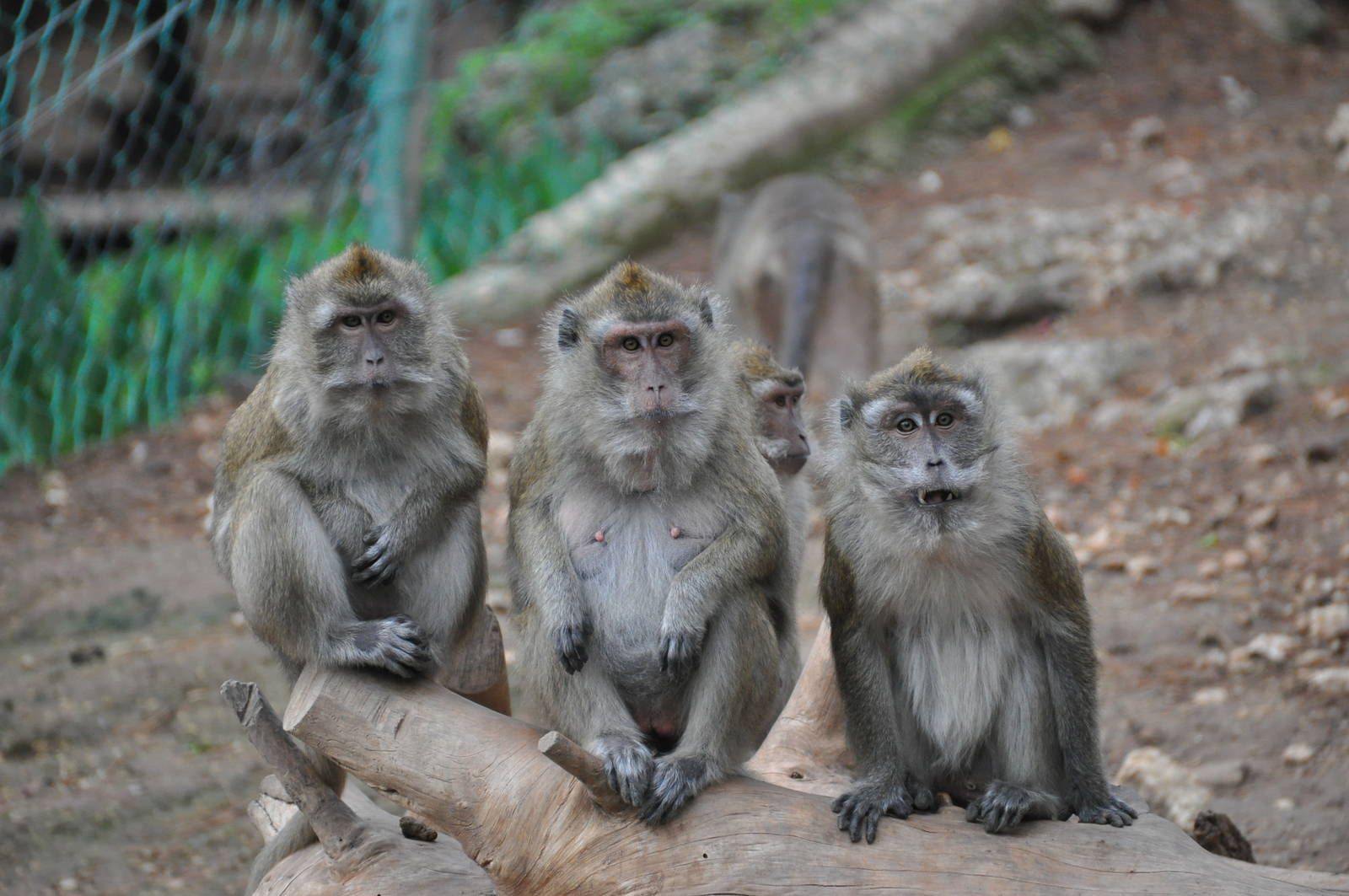 Voyage sur-mesure, Une Thaïlande aux accents Birmans