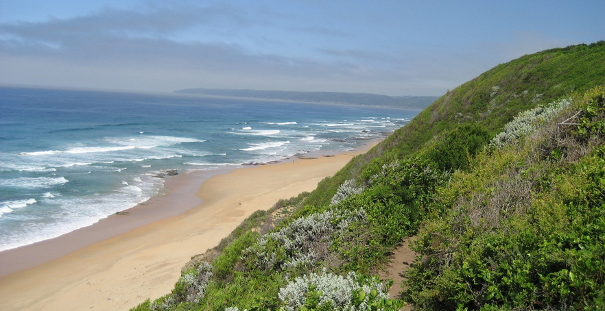 Voyage sur-mesure, Voyage à travers les paysages de l’Afrique du Sud !
