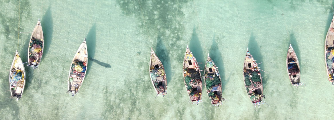Voyage sur-mesure, Séjour plage à Zanzibar
