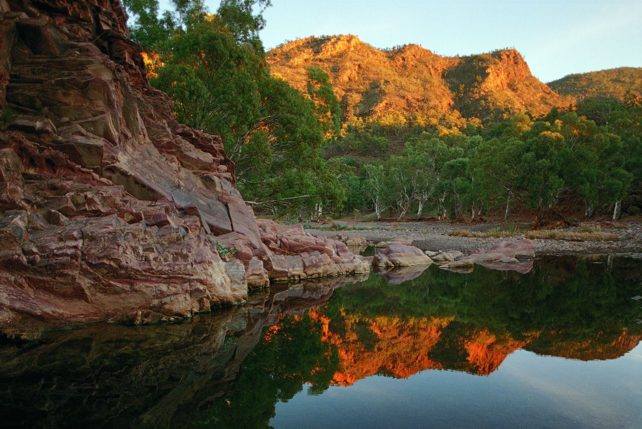 Voyage sur-mesure, Safari à dos de dromadaire dans les Flinders Ranges