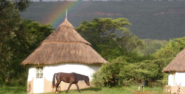 Voyage sur-mesure, Immersion dans une ferme éco-lodge