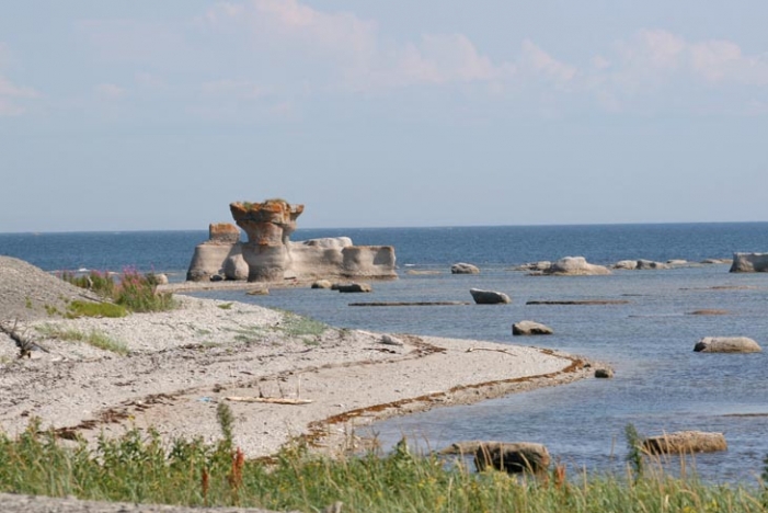 Voyage sur-mesure, Observation des baleines dans l'archipel de Mingan