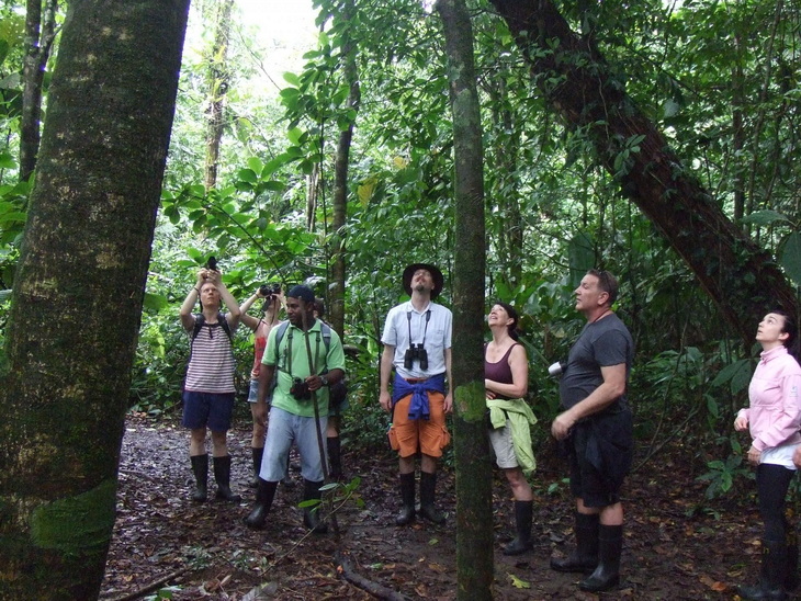 Voyage sur-mesure, Découverte de Tortuguero, petite amazonie costaricienne