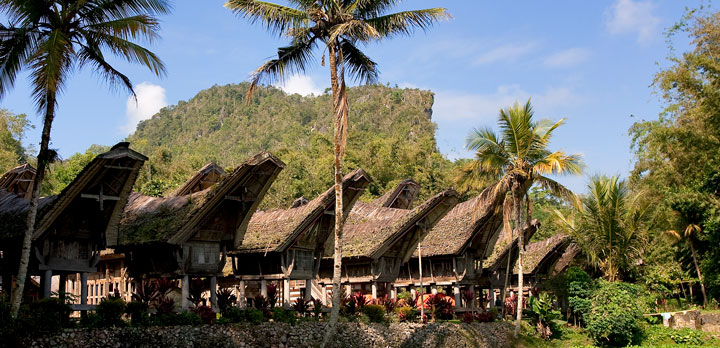 Voyage sur-mesure, Pays Toraja et Sulawesi Nord