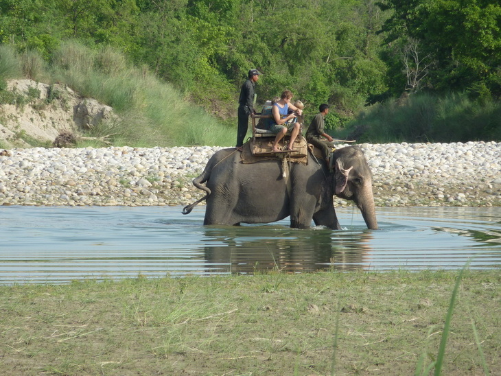 Voyage sur-mesure, Séjour au Parc National de Bardia