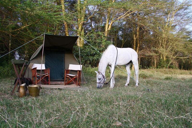 Voyage sur-mesure, Randonnée à cheval en Tanzanie
