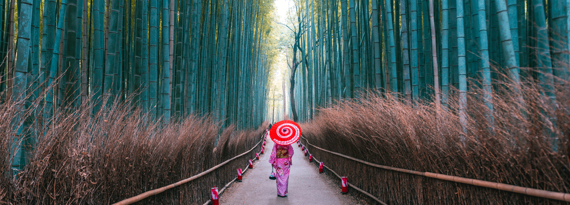 Traditions et Randonnée au Japon