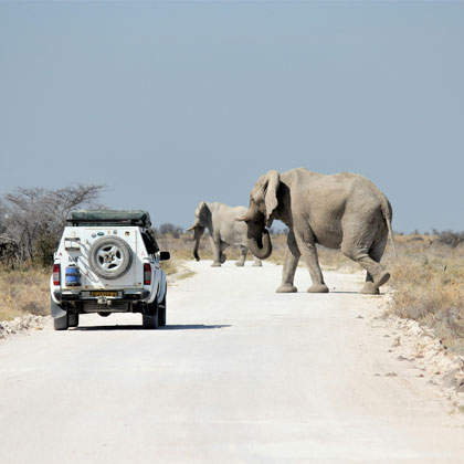 Namibie : Voyage liberté en 4x4