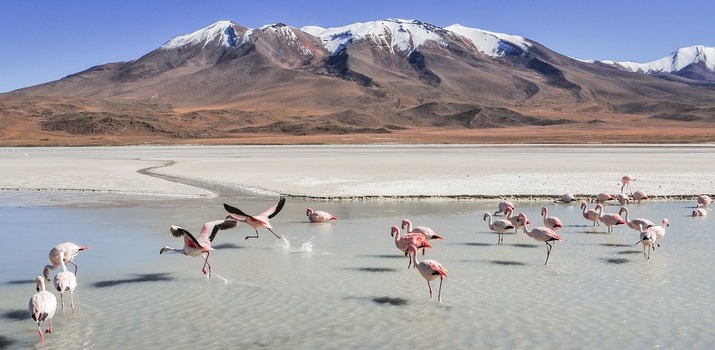 Voyage sur-mesure, Les essentiels de la Bolivie