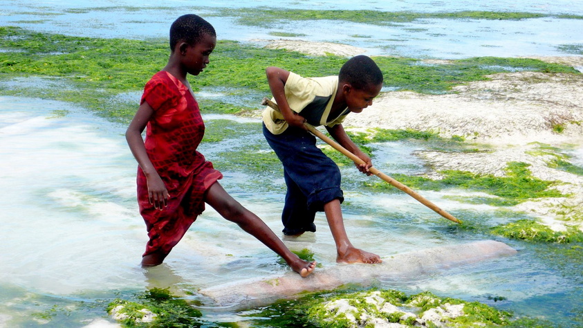 Voyage sur-mesure, Zanzibar en famille