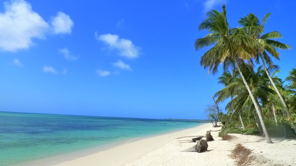 Voyage sur-mesure, Voyage combiné : plongée à Zanzibar, Mafia et Pemba
