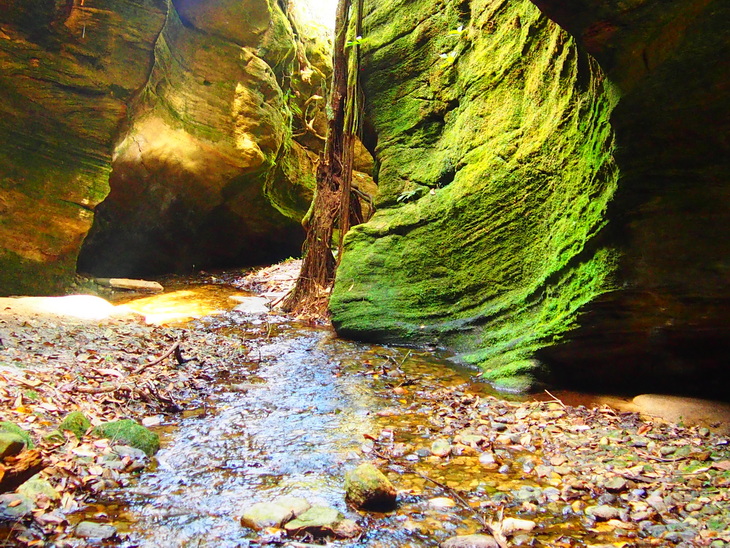 Voyage sur-mesure, Hors du temps dans la réserve privée du Minas Gerais