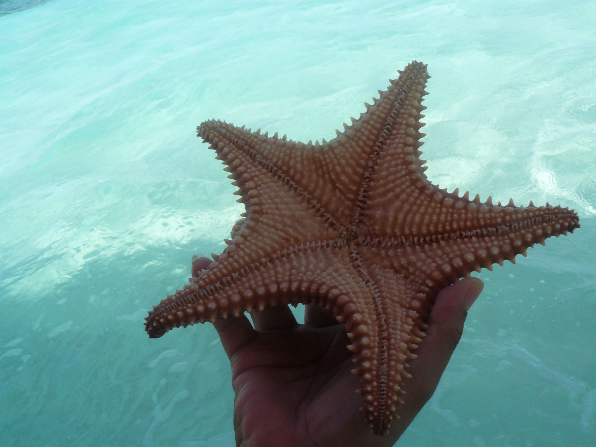 Voyage sur-mesure, Panama, séjour dans l'archipel des San Blas