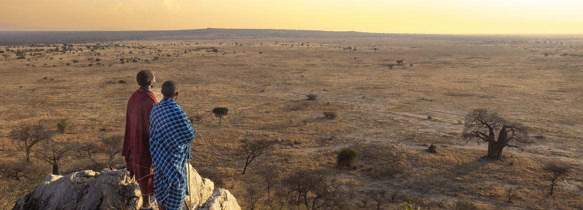 Tanzanie : Safari et Rencontres authentiques avec les tribus