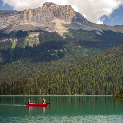D'Alaska à Vancouver : Voyage dans la nature sauvage de l'Ouest