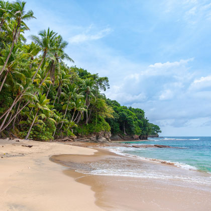 Panama : découverte complète avec le Canal, la ville, les parcs nationaux et les îles San Blas