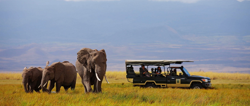 Voyage sur-mesure, Safari de luxe en Tanzanie en avion de brousse