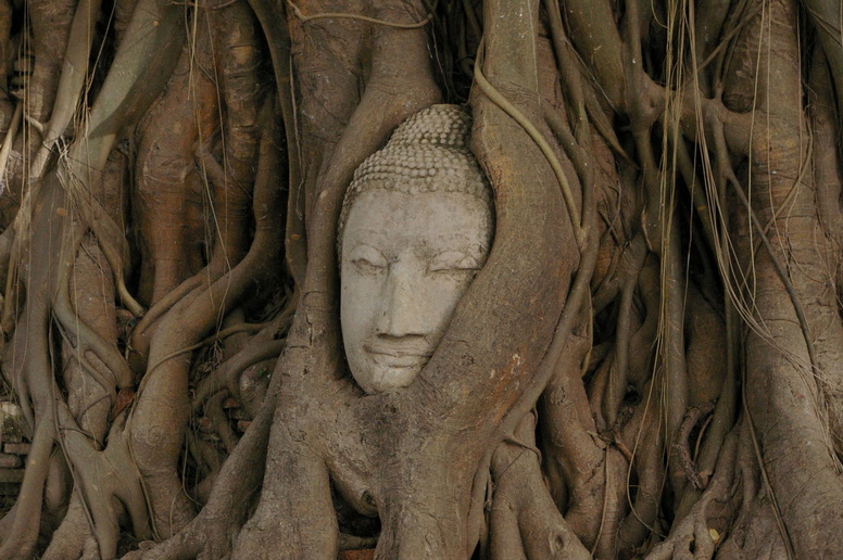 Voyage sur-mesure, Voyage en Thaïlande et au Laos