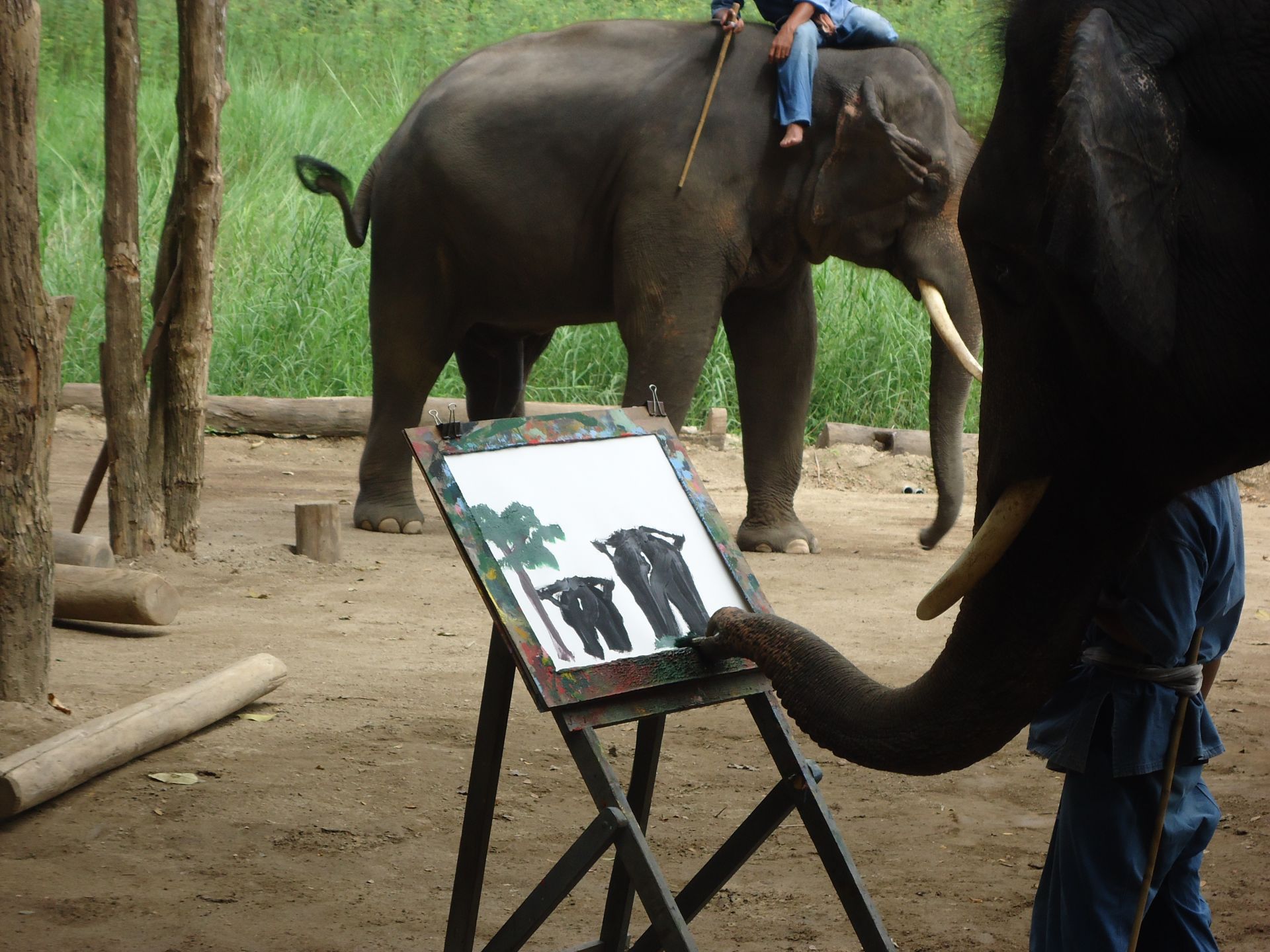 Voyage sur-mesure, La Thaïlande en famille