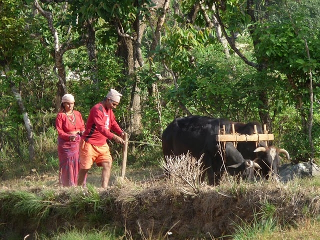 Voyage sur-mesure, Voyage solidaire : trekking et villages