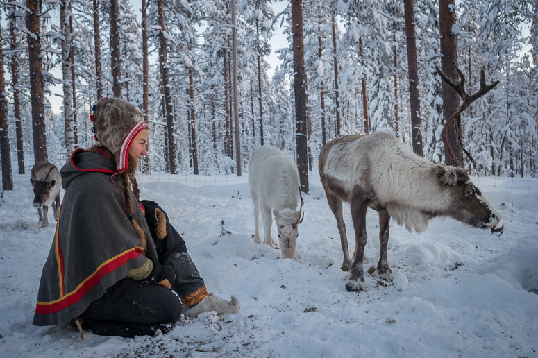 Voyage sur-mesure, Suède en Hiver :  A la rencontre du Peuple Sami et  des Aurores Boréales