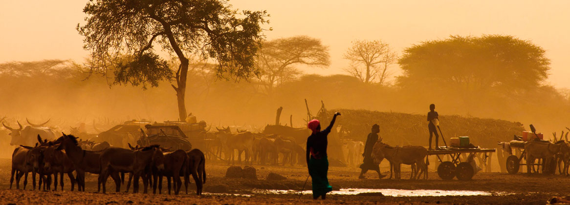Le Sénégal hors des sentiers battus en deux semaines