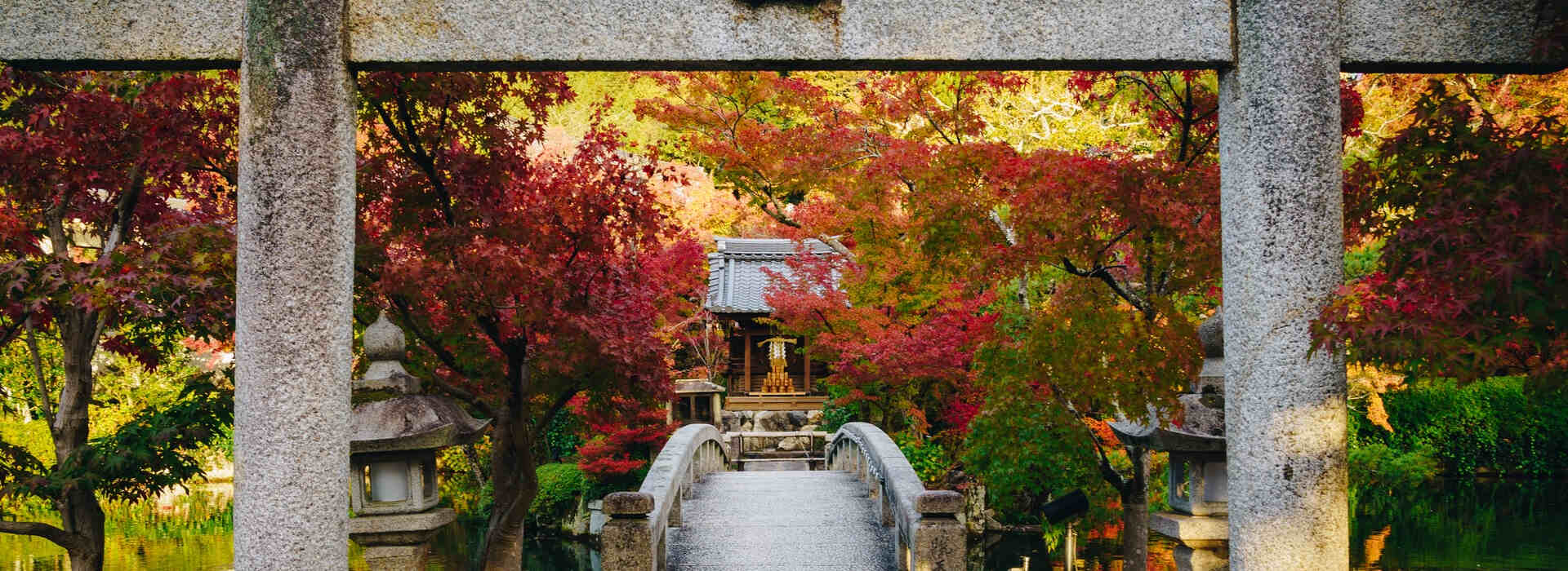 Voyage sur-mesure, Voyage au Japon : De Tokyo à Kyoto