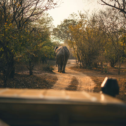 L'Afrique du Sud hors sentiers battus, du Namaqualand au Kgalagadi