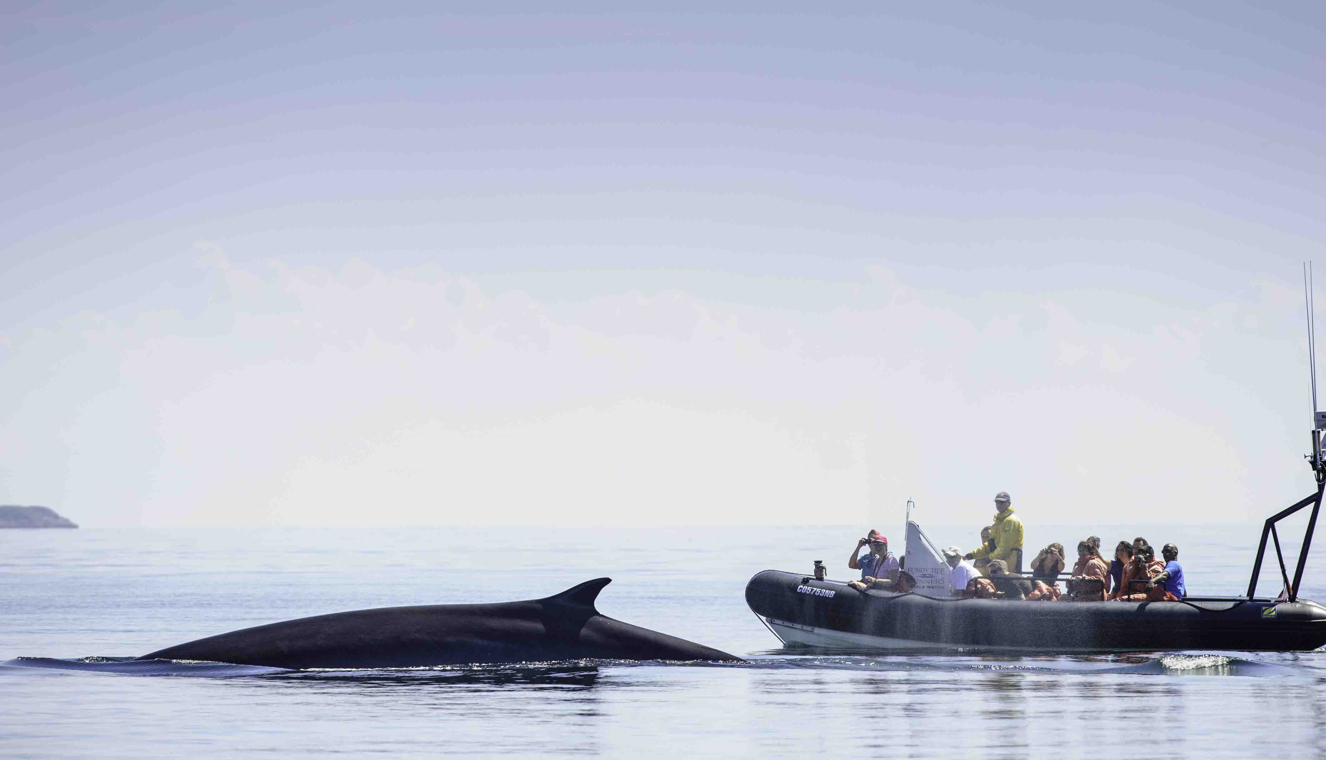 Voyage sur-mesure, Le meilleur du Québec en autotour