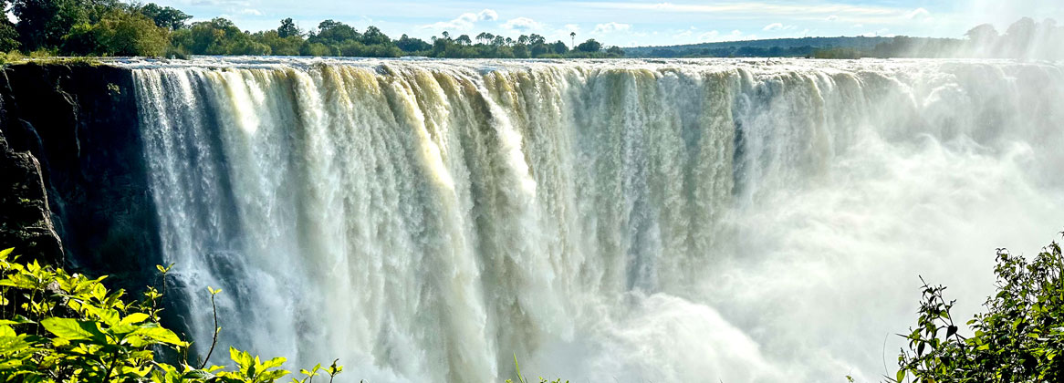 Safari en famille au Botswana et aux chutes Victoria