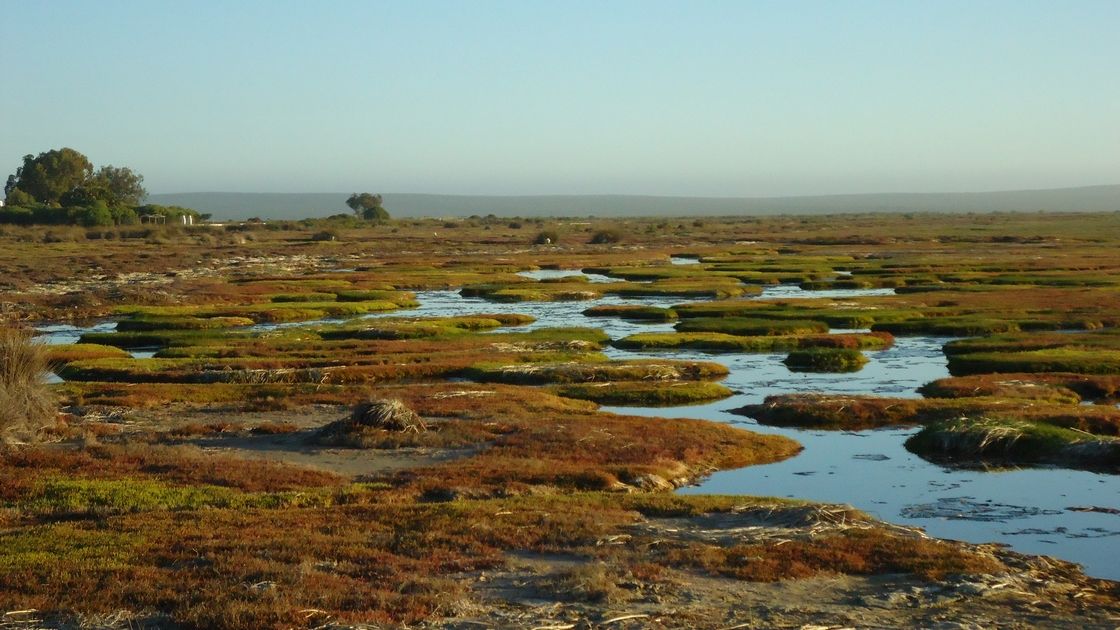 Voyage sur-mesure, Sur les terres du peuple San et dans le parc de West Coast