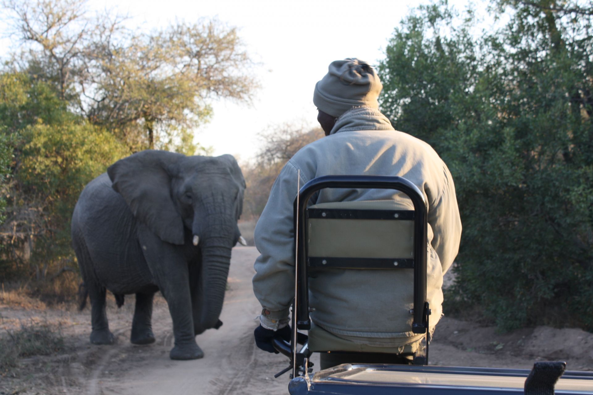 Voyage sur-mesure, Voyage insolite : Nature sauvage d'Afrique du Sud et plages du Mozambique