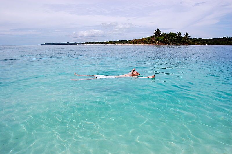 Voyage sur-mesure, Observation des baleines de Sainte-Marie